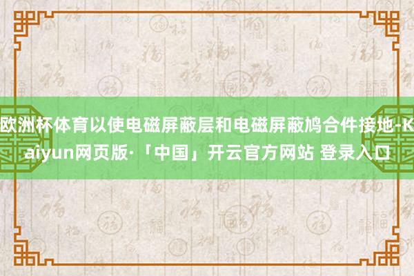 欧洲杯体育以使电磁屏蔽层和电磁屏蔽鸠合件接地-Kaiyun网页版·「中国」开云官方网站 登录入口