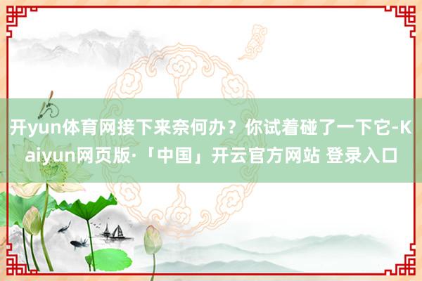 开yun体育网接下来奈何办？你试着碰了一下它-Kaiyun网页版·「中国」开云官方网站 登录入口