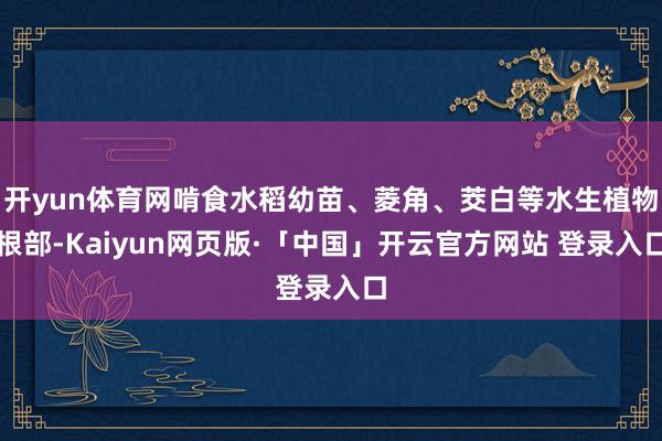 开yun体育网啃食水稻幼苗、菱角、茭白等水生植物根部-Kaiyun网页版·「中国」开云官方网站 登录入口